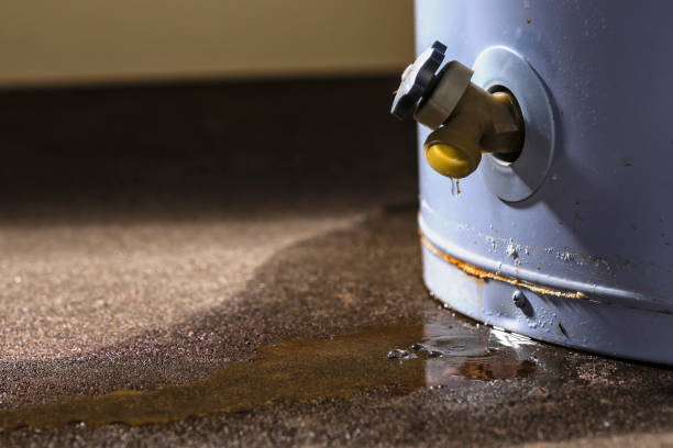  Lacey, WA Water damage restoration Pros