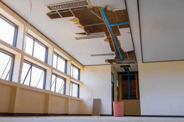 Best 24-hour water damage restoration  in Lacey, WA