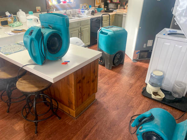 Best Water damage restoration services  in Lacey, WA