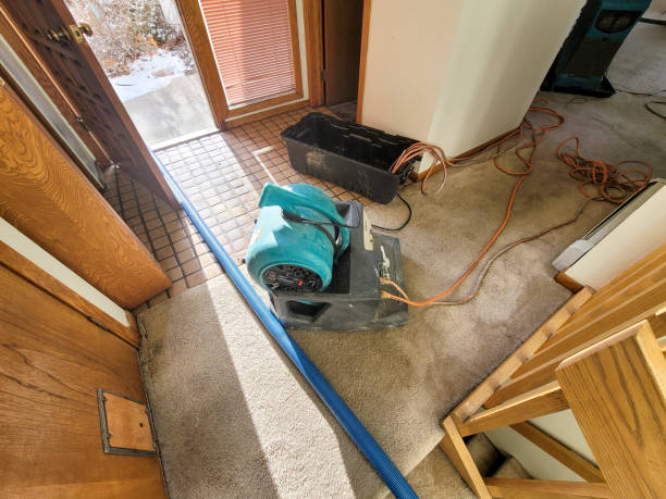 Best 24/7 water damage repair  in Lacey, WA