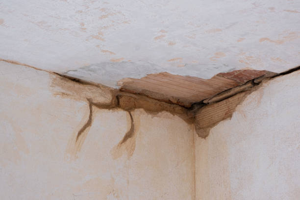 Best 24-hour water damage restoration  in Lacey, WA