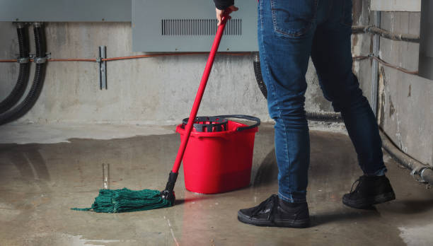 Best Sewage cleanup and water damage restoration  in Lacey, WA