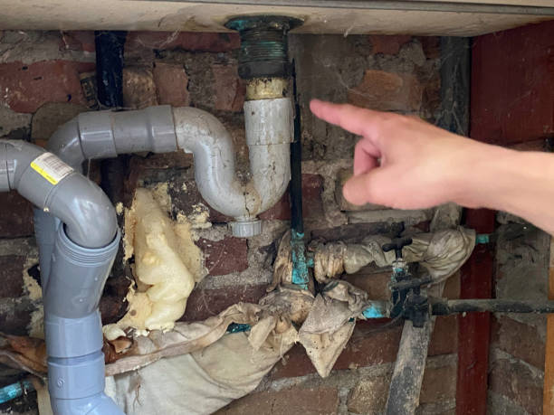 Best Water damage restoration cost  in Lacey, WA